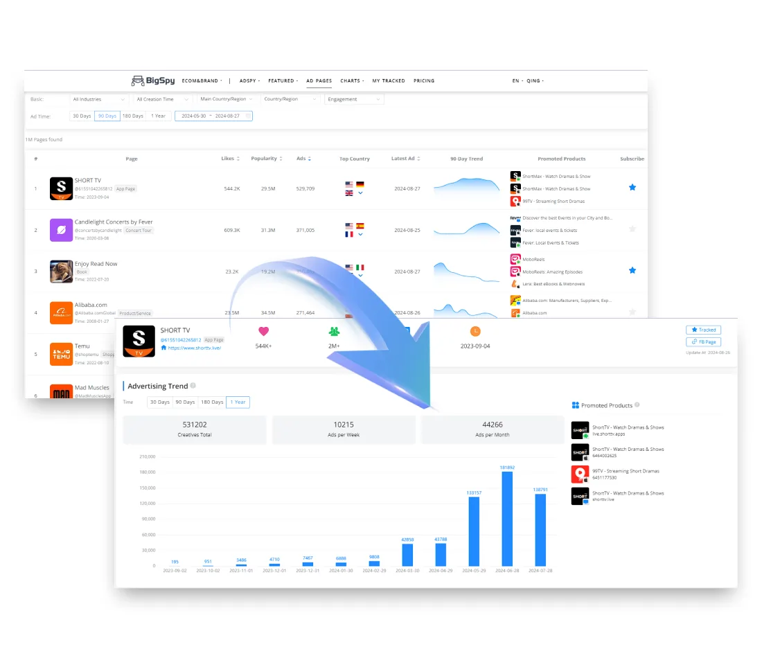 Bigspy Competitor Monitoring